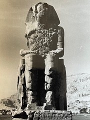 Original Vintage Photo 1950s Colossus Of Memnon Luxor Egypt Art Photography