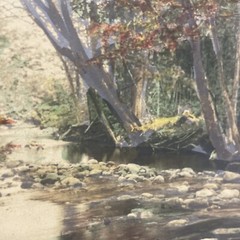 AQ Fred Thompson “Woodland Symphony” Original Hand Tinted Photograph Signed 7×9”