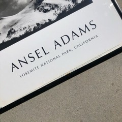 Vtg 1993 Ansel Adams Yosemite National Park California Framed Photo Art 16×20”