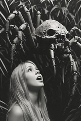 24 ~ 4X6 Glossy HORROR Fine Art ‘ Spider Crab ‘ Photo FANTASY Set ! 3413730
