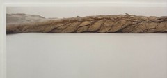 PATRICIA SILVA ‘The Braided Wave’ NATURALIST Abstract CONTEMPORARY Photograph