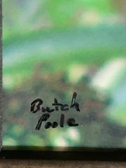 Butch Poole Hand Signed Tiger Swallowtail Butterfly Photograph Framed Art