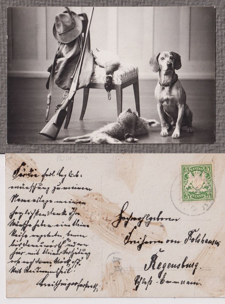 Thurn And Taxis Hunting Lodge Hunting Dog Autograph Photo 1910 Photography