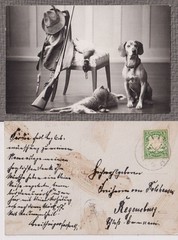 Thurn And Taxis Hunting Lodge Hunting Dog Autograph Photo 1910 Photography