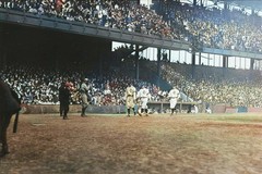 1920cleveland indians world series 8×10 Colorized Print-FREE SHIPPING
