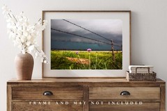 Country Photography Print: Texas Pink Thistle Flower Storm Barbed Wire Photo