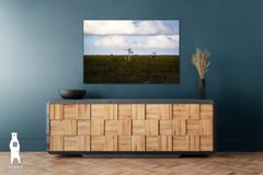 Cypress Prairie – Minimal Landscape Photography Fine Art Prints – Everglades, FL