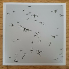 TRENT PARKE – SIGNED PHOTO – MAGNUM SQUARE PRINT LIMITED EDITION