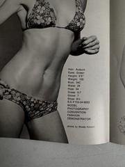 Jerry Lynn Chicago MODELS Images of Women Photo Catalog By Woodie Koizorni
