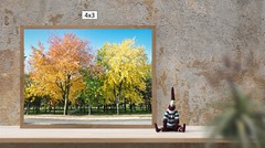 Fall Trees 1, High Resolution Image, Many Formats, TV Art