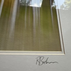 Large Framed Signed Rick Buchanan Photograph Print – Aspen Abstract Colorado