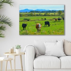 Vermont Rural Landscape, Country Cows – Fine Art Photo on Metal, Canvas or Paper
