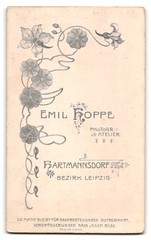 Photograph Emil Hoppe, Hartmannsdorf, portrait fashionably dressed lady with a