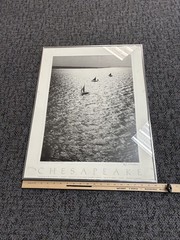 20 in x 26.5 in Framed Chesapeake Photo