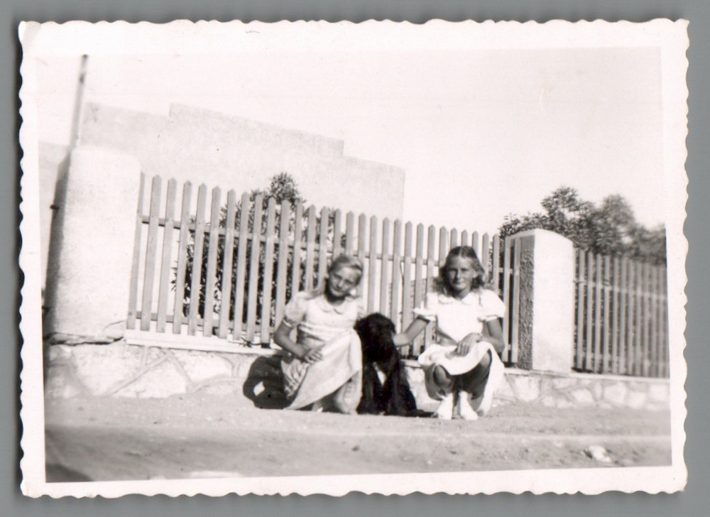 Photo Girl with Dog in Front of Home Garden Everyday Scene Circa 1940 (F1169)