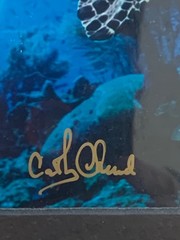 Pair Signed Cayman Islands Underwater Photographs Cathy Church Mike Lawrence