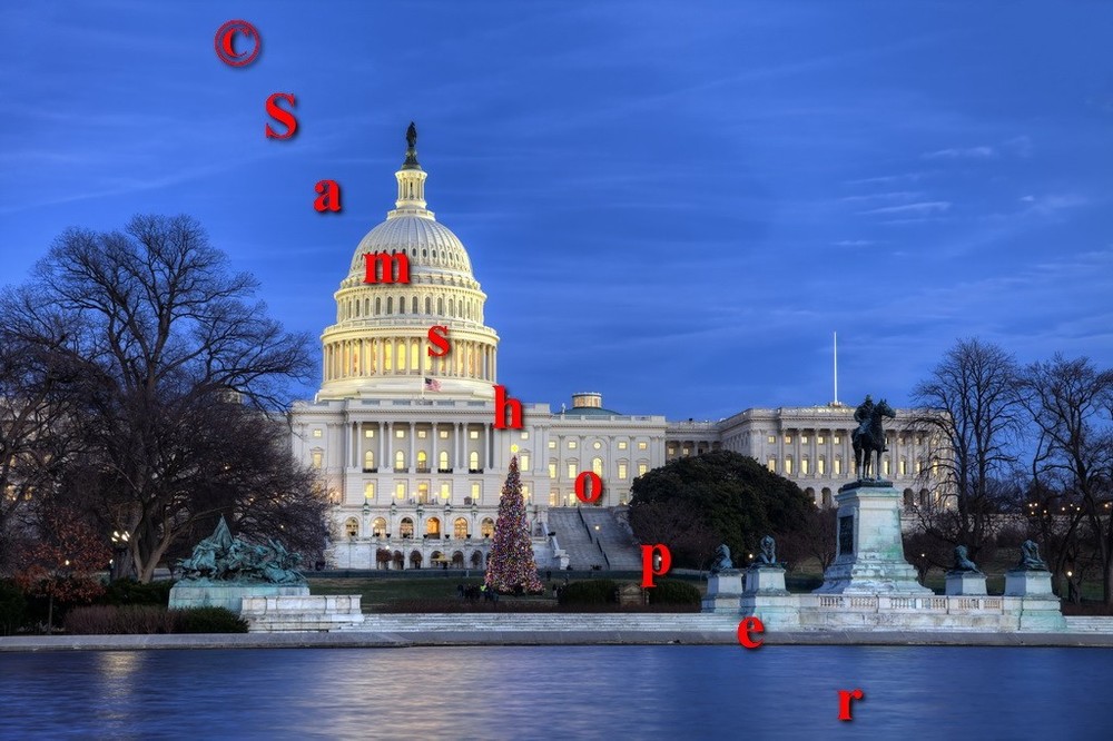 2013 U.S. Washington DC Capitol Christmas Tree Photo Print 16″ x 24″