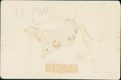 Photo North Sea island Heligoland, total view – 10853303