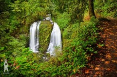 McCord Creek Falls – Columbia River Gorge Waterfall, Oregon – Fine Art Prints