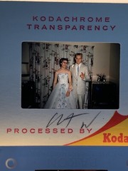 Lot Of 40 Vintage Wedding Summer Fun At The Lake Amateur 35mm Color Slides