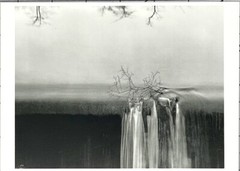 Koichiro Kurita (b. 1943) Art Announcement Card 1995 – Witkin Gallery NYC