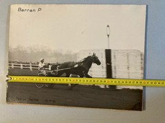 Original Horse Riding Course Photo 1949 Horse Barran Photo