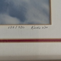 King Wu Signed And Numbered – 9×11 Framed Color Photo – Snow Covered Red Berries