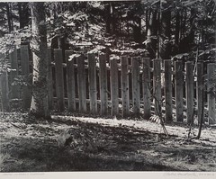 Large Format 2013 B&W Photo Fence in Early Evening by Charles Fendrock Listed