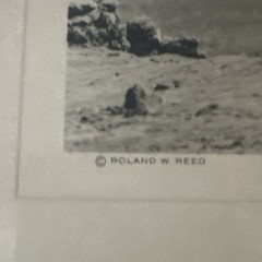 Roland Reed The Wood Gatherer Hopi AZ 1912 Photogravure 1918 Minneapolis Framed