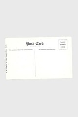 Vintage Postcard Camp Mills