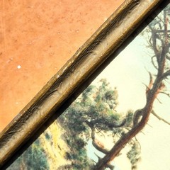 FREDERICK W. MARTIN Hand-Tinted Hand-Color Photo Torrey Pines 8.75″ x 4.75″ VGC