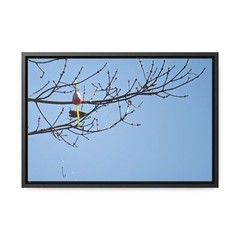 «Fisherman’s Folly» Canvas Wall Art, Nature Photography Decor, Perfect Gift