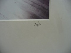MATTED PHOTOGRAPHY The Girls Bedroom A/P By Larry Santucci 2008 16×20
