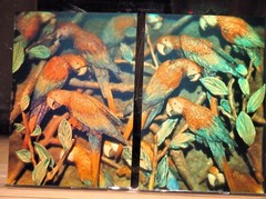Full Color Film Hologram fully-3D, rare matching set of 2 (8″x 5.5″) Japan 1998