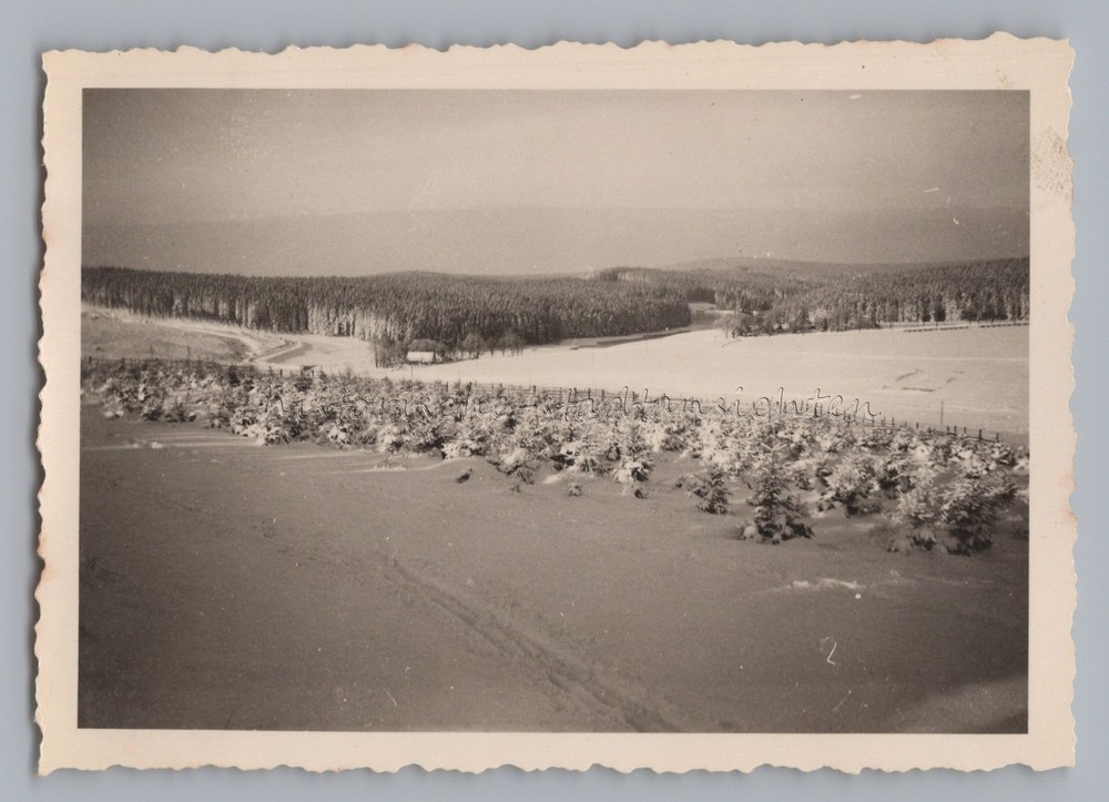 Buntenbock Clausthal-Zellerfeld 1949 – Winter Landscape – Old Photo 1940s