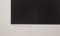 Stunning Large Format B&W Photograph «Lobster Claw» by Charles Fendrock Listed