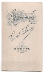Photograph Carl Lux, Zwettl, middle-class couple in the Sunday state