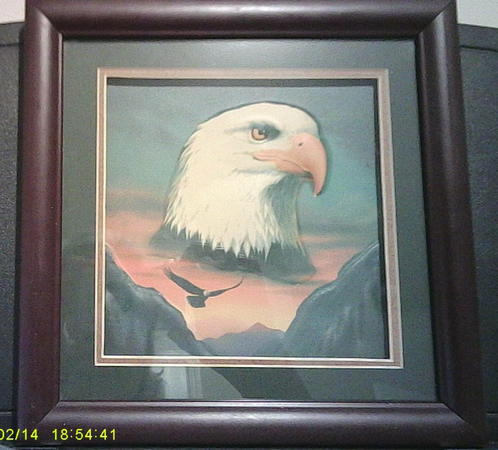 Small Framed American Bald Eagle Print Picture of eagle in flight 9×9