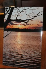 Vintage Signed 8×12 Photo W. Beebe East Tennessee lake Sunset
