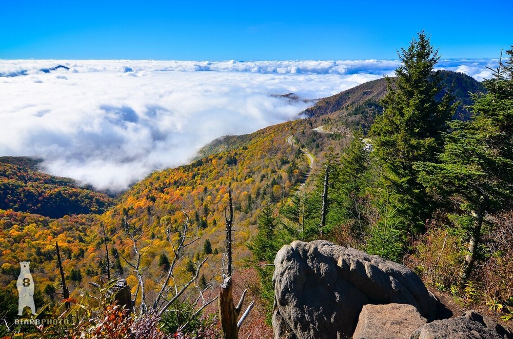 Sea of Clouds – Waterrock Knob -Blue Ridge Parkway – Landscape Photography