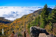 Sea of Clouds – Waterrock Knob -Blue Ridge Parkway – Landscape Photography