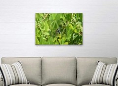 «Stand-Out» Photography Wall Art & Prints