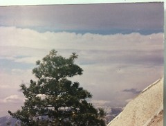 Pine Tree Mountain Sky Clouds Photo Art Print On Board Unknown Artist FoundArt