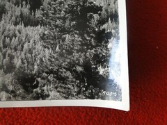 Vintage 1930s/40s Colorado Linen Backed Silver Gelatin Photo Mt. Evans Echo Lake