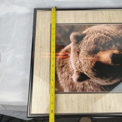 Johnny Johnson Bear Photograph Signed Numbered Vintage