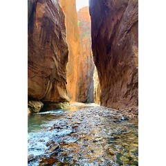 The Narrows Zion National Park Photograph, Zion Wall Decor