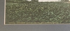 Antique San Carlos Mission Tinted Photograph Monterey California Vintage