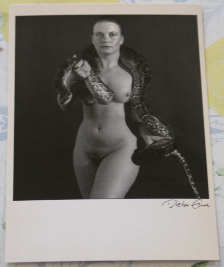 Photo postcard art nude python 1 nude dieter end photography snake woman girl AM