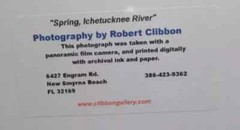 Sighed original photography by Robert «Spring Ichetucknee river»
