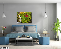 Fall in Keweenaw michigan fern autumn fine art Photography Ansel Adams